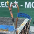 IMG_5531.jpeg