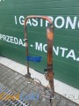 IMG_5522.jpeg