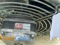 IMG_5786.JPG