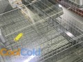 IMG_7049.jpeg